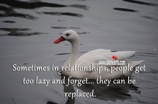 Sometimes in relationships, people get too lazy and forget they can be replaced. People Quotes Image