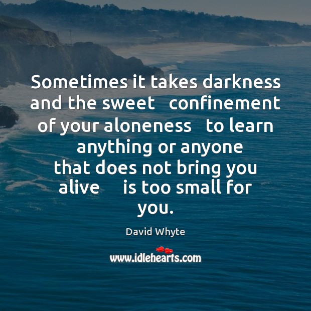 Sometimes it takes darkness and the sweet   confinement of your aloneness   to David Whyte Picture Quote