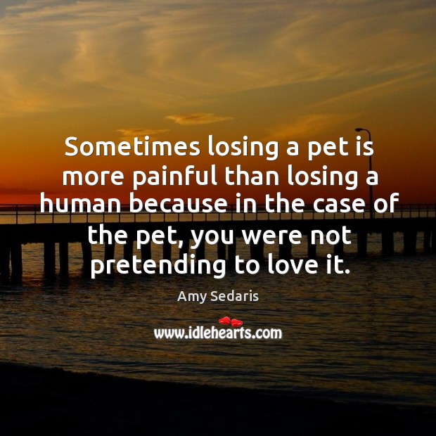 Sometimes losing a pet is more painful than losing a human because Image