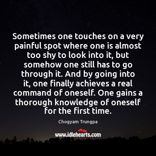 Sometimes one touches on a very painful spot where one is almost Chogyam Trungpa Picture Quote