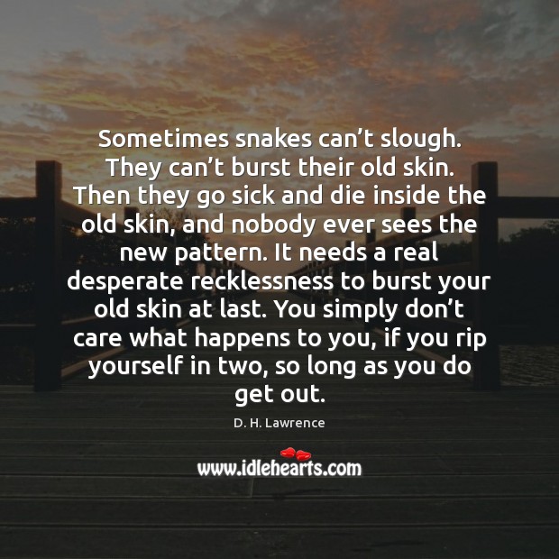 Sometimes snakes can’t slough. They can’t burst their old skin. Image