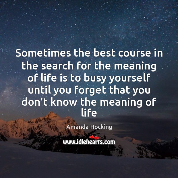 Sometimes the best course in the search for the meaning of life Amanda Hocking Picture Quote