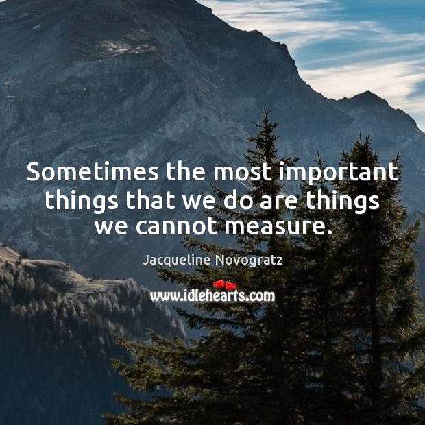 Sometimes the most important things that we do are things we cannot measure. Jacqueline Novogratz Picture Quote
