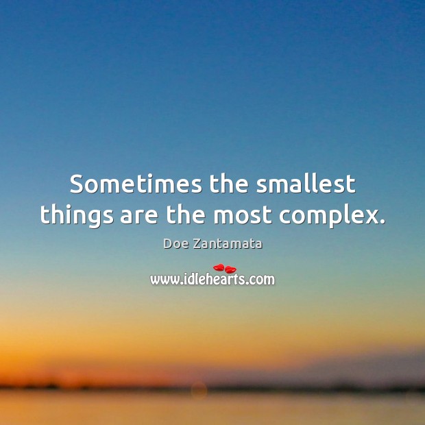 Sometimes the smallest things are the most complex. Doe Zantamata Picture Quote