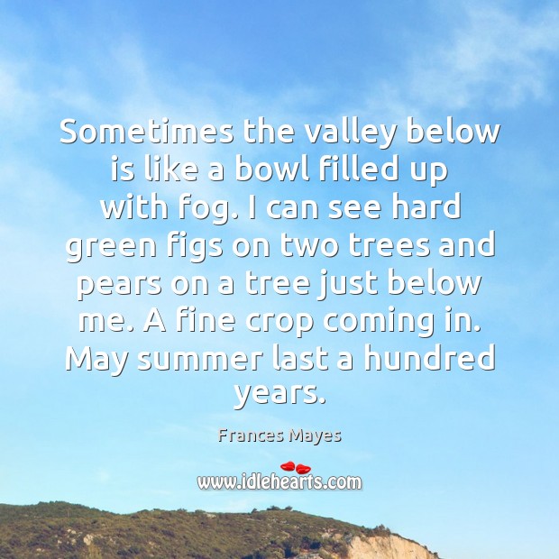 Sometimes the valley below is like a bowl filled up with fog. Frances Mayes Picture Quote