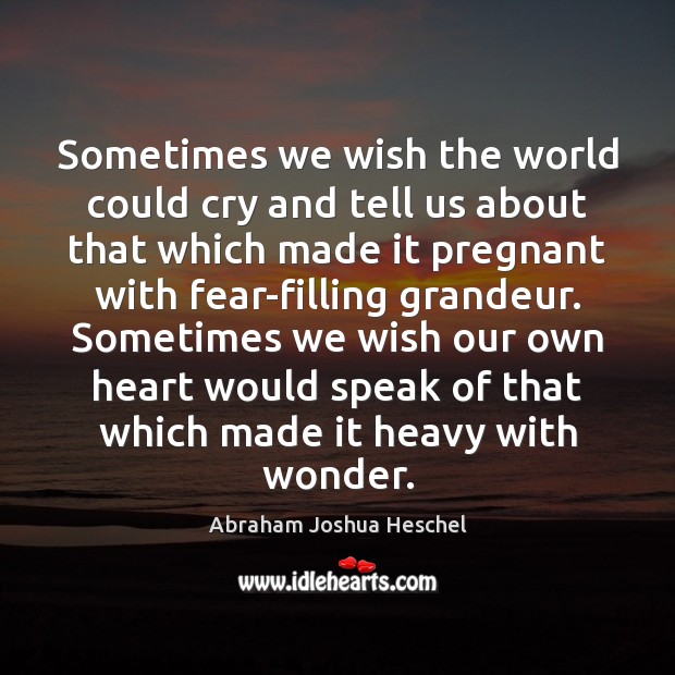 Sometimes we wish the world could cry and tell us about that Abraham Joshua Heschel Picture Quote