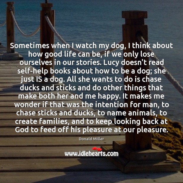 Sometimes when I watch my dog, I think about how good life Donald Miller Picture Quote