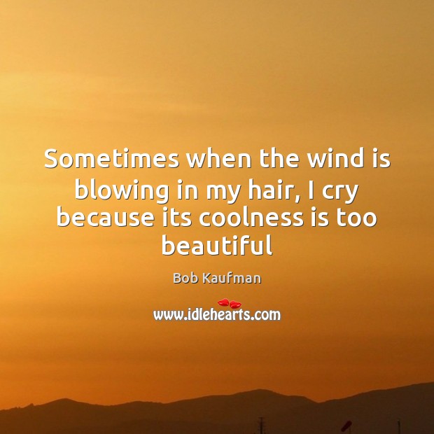 Sometimes when the wind is blowing in my hair, I cry because its coolness is too beautiful Bob Kaufman Picture Quote