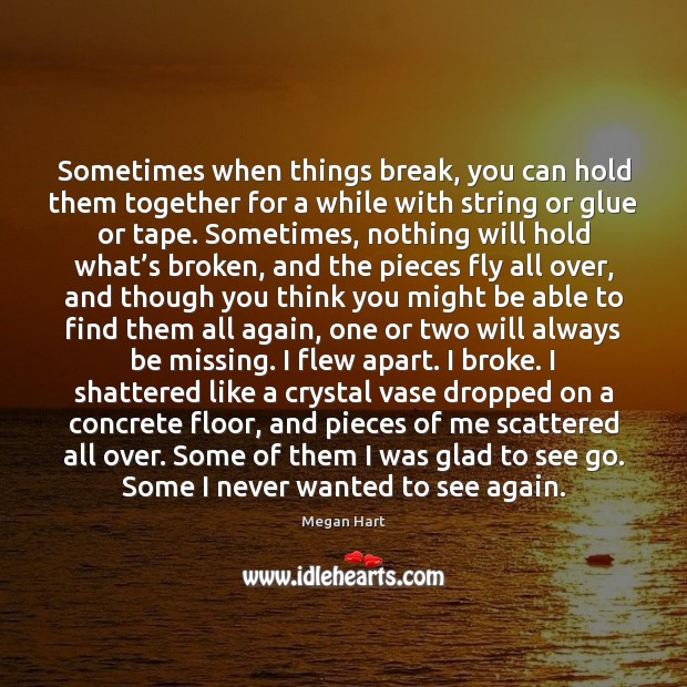 Sometimes when things break, you can hold them together for a while Megan Hart Picture Quote