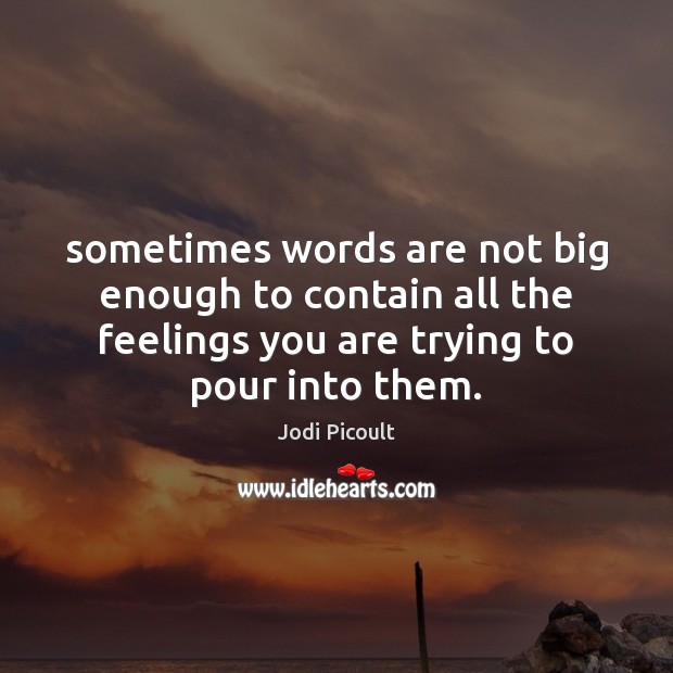 Sometimes words are not big enough to contain all the feelings you Jodi Picoult Picture Quote