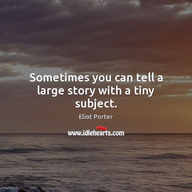 Sometimes you can tell a large story with a tiny subject. Eliot Porter Picture Quote