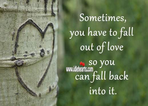 Sometimes, you have to fall out of love so you can fall back into it. 