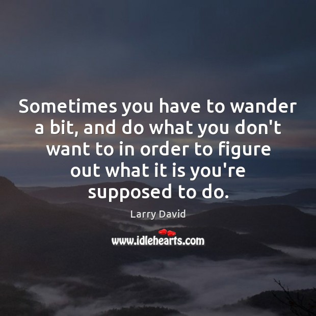 Sometimes you have to wander a bit, and do what you don’t Larry David Picture Quote