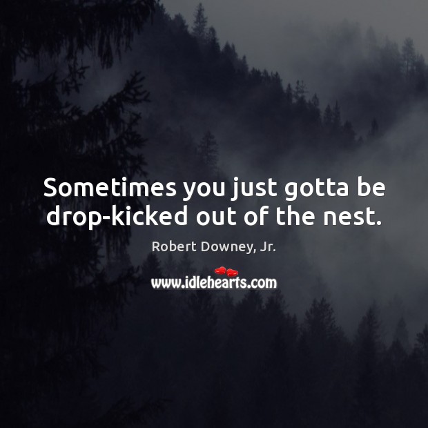 Sometimes you just gotta be drop-kicked out of the nest. Robert Downey, Jr. Picture Quote