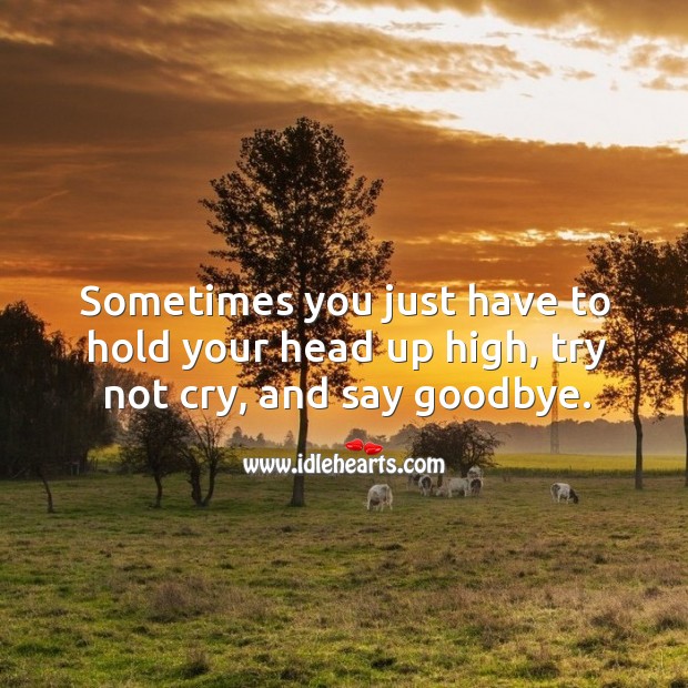 Sometimes you just have to hold your head up high, try not cry, and say goodbye. Goodbye Quotes Image
