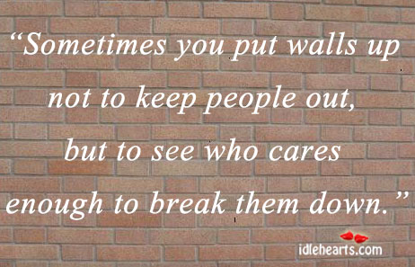 Sometimes you put walls up not to keep People Quotes Image