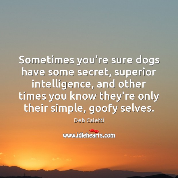 Sometimes you’re sure dogs have some secret, superior intelligence, and other times Deb Caletti Picture Quote