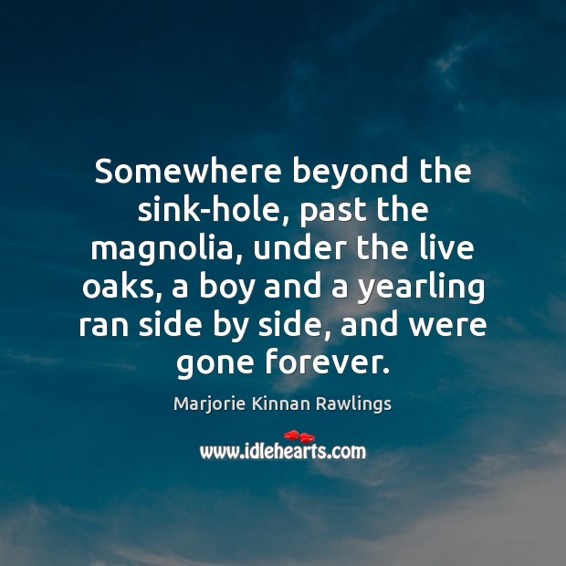 Somewhere beyond the sink-hole, past the magnolia, under the live oaks, a Marjorie Kinnan Rawlings Picture Quote