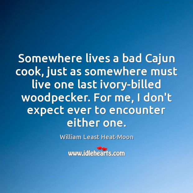 Somewhere lives a bad Cajun cook, just as somewhere must live one William Least Heat-Moon Picture Quote
