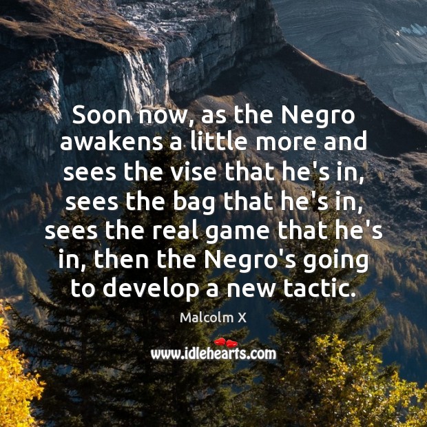 Soon now, as the Negro awakens a little more and sees the Malcolm X Picture Quote