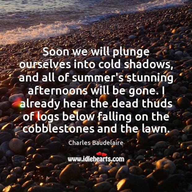 Soon we will plunge ourselves into cold shadows, and all of summer’s Charles Baudelaire Picture Quote