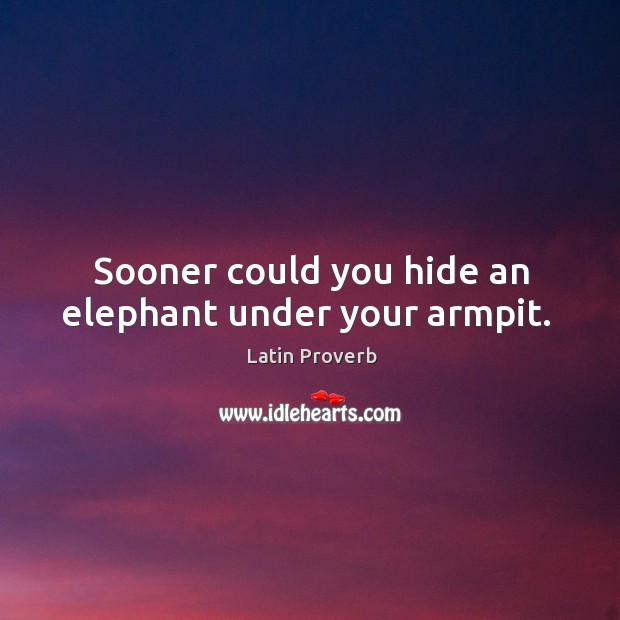 Sooner could you hide an elephant under your armpit. Image