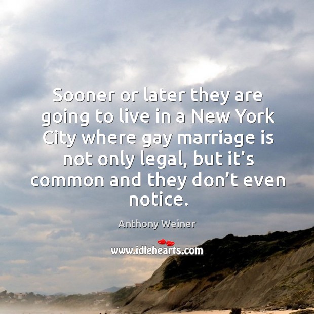 Sooner or later they are going to live in a new york city where gay marriage is not only legal Legal Quotes Image