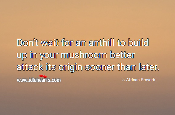 Don’t wait for an anthill to build up in your mushroom better attack its origin sooner than later. African Proverbs Image