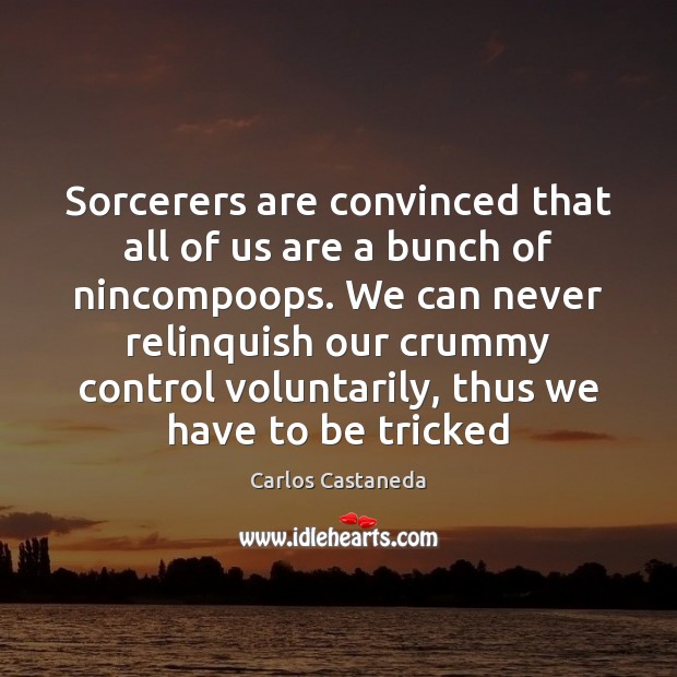 Sorcerers are convinced that all of us are a bunch of nincompoops. Carlos Castaneda Picture Quote
