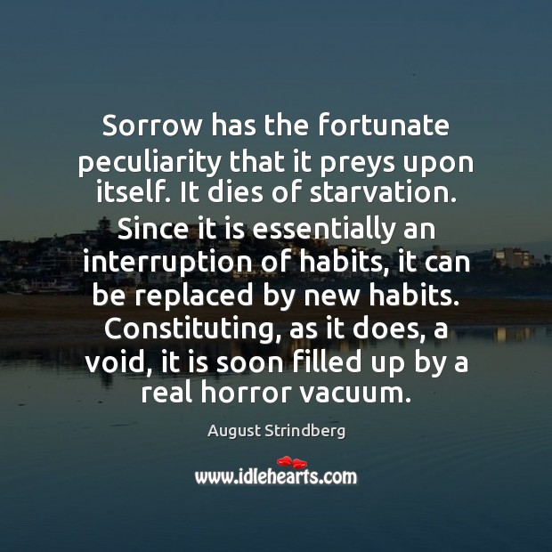 Sorrow has the fortunate peculiarity that it preys upon itself. It dies Image