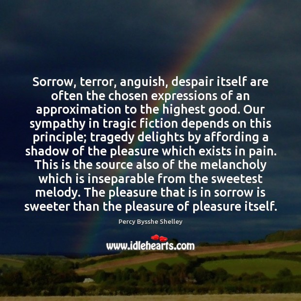 Sorrow, terror, anguish, despair itself are often the chosen expressions of an Percy Bysshe Shelley Picture Quote