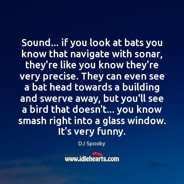 Sound… if you look at bats you know that navigate with sonar, DJ Spooky Picture Quote
