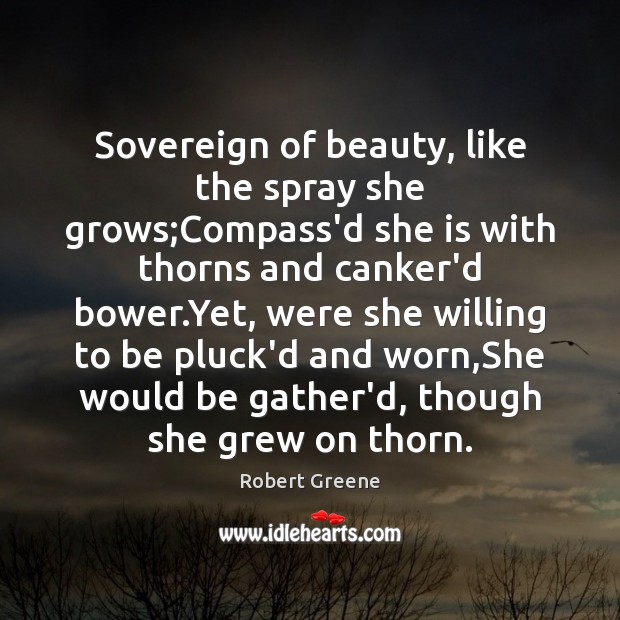 Sovereign of beauty, like the spray she grows;Compass’d she is with Robert Greene Picture Quote