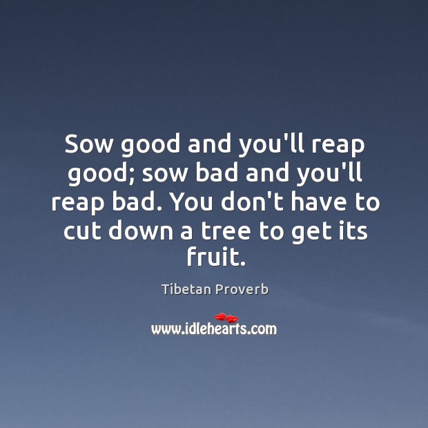 Sow good and you’ll reap good; sow bad and you’ll reap bad. Tibetan Proverbs Image