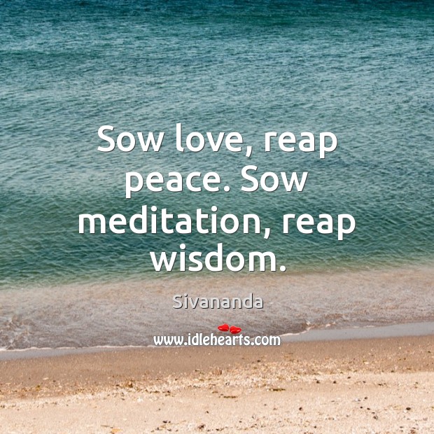 Sow love, reap peace. Sow meditation, reap wisdom. Sivananda Picture Quote