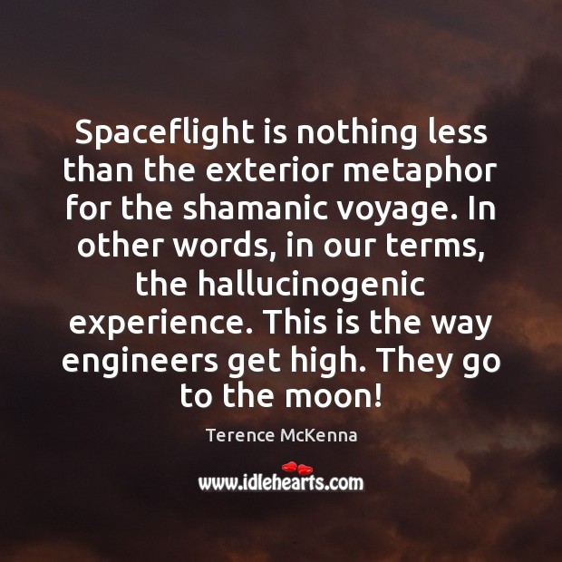 Spaceflight is nothing less than the exterior metaphor for the shamanic voyage. Terence McKenna Picture Quote