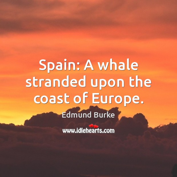 Spain: A whale stranded upon the coast of Europe. Image