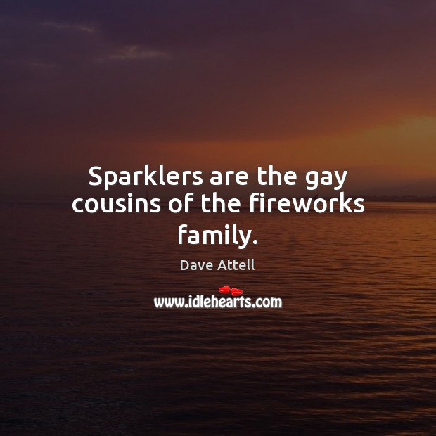 Sparklers are the gay cousins of the fireworks family. Dave Attell Picture Quote