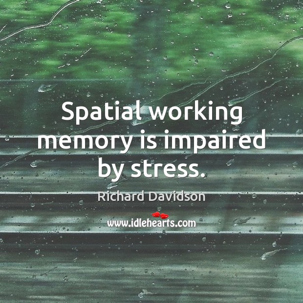 Spatial working memory is impaired by stress. Richard Davidson Picture Quote