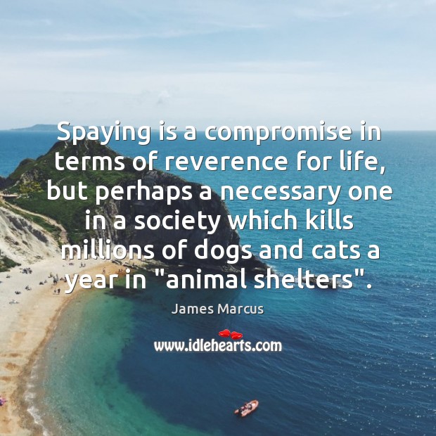 Spaying is a compromise in terms of reverence for life, but perhaps Image