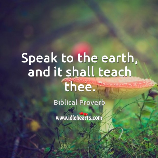 Speak to the earth, and it shall teach thee. Image