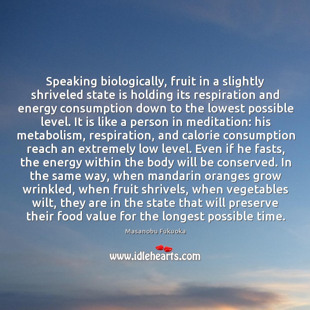 Speaking biologically, fruit in a slightly shriveled state is holding its respiration Masanobu Fukuoka Picture Quote