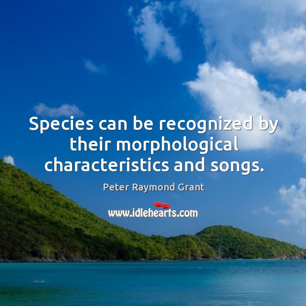 Species can be recognized by their morphological characteristics and songs. Peter Raymond Grant Picture Quote
