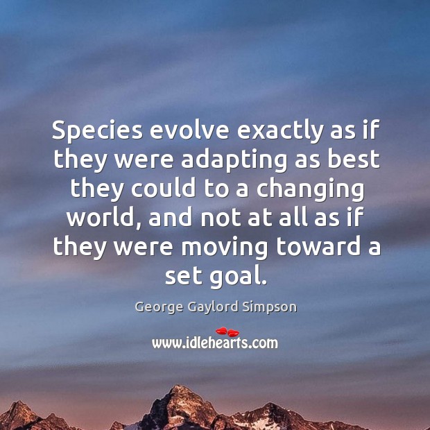 Species evolve exactly as if they were adapting as best they could George Gaylord Simpson Picture Quote
