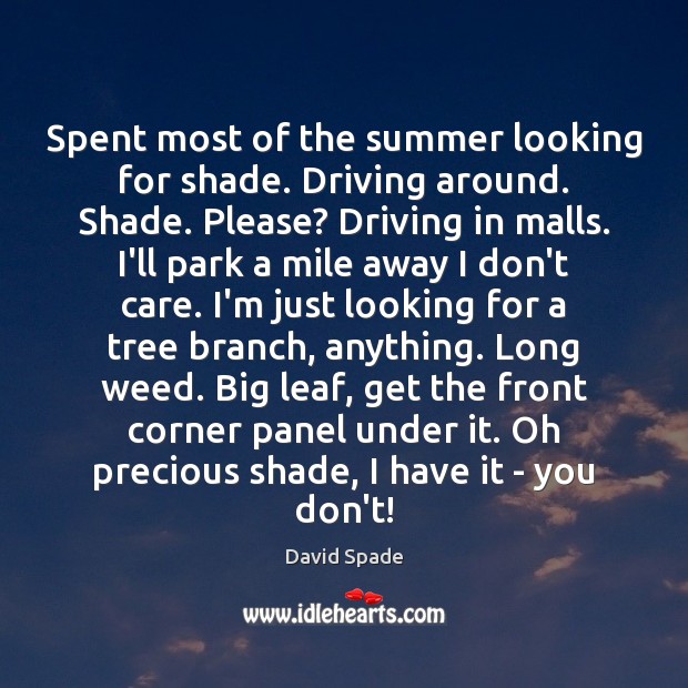 Spent most of the summer looking for shade. Driving around. Shade. Please? Image