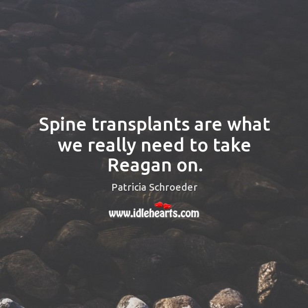 Spine transplants are what we really need to take reagan on. Patricia Schroeder Picture Quote
