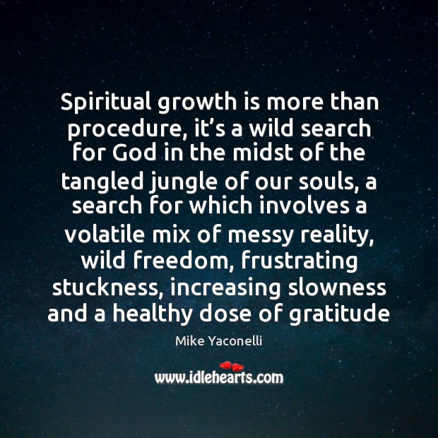 Spiritual growth is more than procedure, it’s a wild search for Image