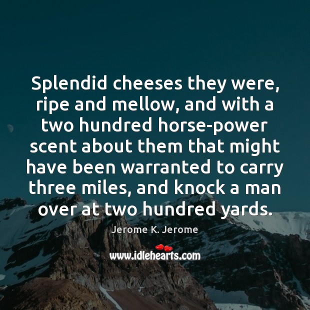 Splendid cheeses they were, ripe and mellow, and with a two hundred Image