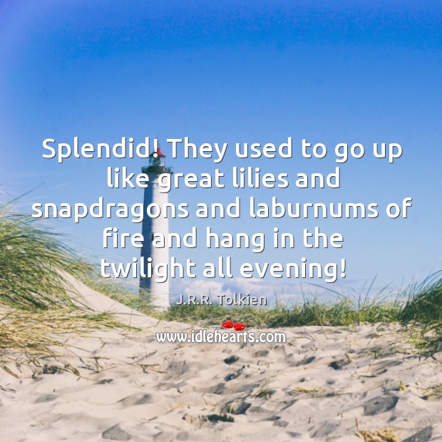 Splendid! They used to go up like great lilies and snapdragons and J.R.R. Tolkien Picture Quote