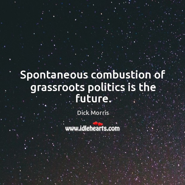Spontaneous combustion of grassroots politics is the future. Dick Morris Picture Quote